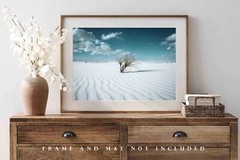 Yucca Plant Photography Print: New Mexico White Sands Desert Southwest Photo