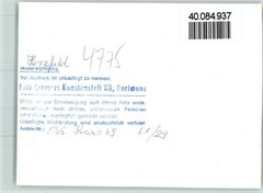 40084937 – 4775 Herzfeld
