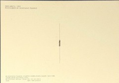 Wolfgang Tillmans Art Photo Print Card By Fotofolio – Deer Hirsch, 1995