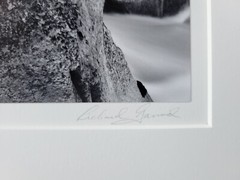 Richard Garrod, silver gelatin, black and white photograph, Sequoia