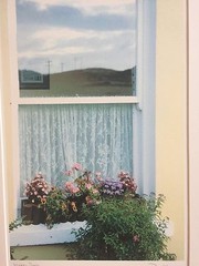 BRUCE BLUM SIGNED COLOR Photo Print (16″X 20″)-«Window Dalias «