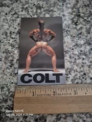 VINTAGE MODEL’S BACK PHOTO BY COLT ART PRINT (1) MAGNET