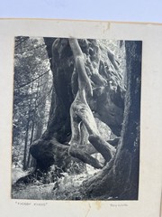 Original 40s Photo “ KNOBBY KNEES “ by Cartoonist Roy Wolfe