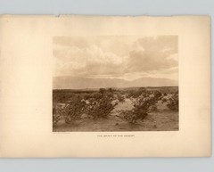 Wanamaker/Dixon «The Spirit of the Desert» 1913 Photogravure The Vanishing Race