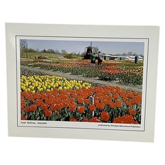 Vintage Tulip Festival Holland Michigan Print Hillsdale Publishers