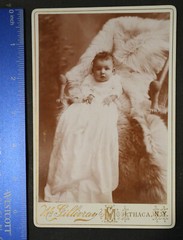 Cabinet Card, Baby on fur covered chair, E McGillivray, Ithaca, New york