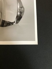 Rare Official Vintage Baccarat – France Fine art B&W Photo (Rigot Cats)