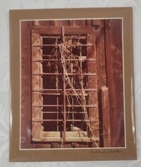 (3) 3.5×5.75 Western Photographs by Richard L Worthen