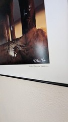 ‘Under the Manhattan Beach Pier No. 2’ photograph signed by Robert Kawika Sheer