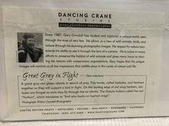 Gary Crane Photo.-Dancing Crane Studios”Great Grey In Flight” Photo Art Print