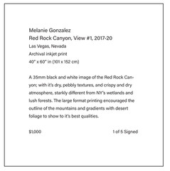 Red Rock Canyon, View #1, Nevada, USA, 40 x 60in Art photo by Mel Gonz