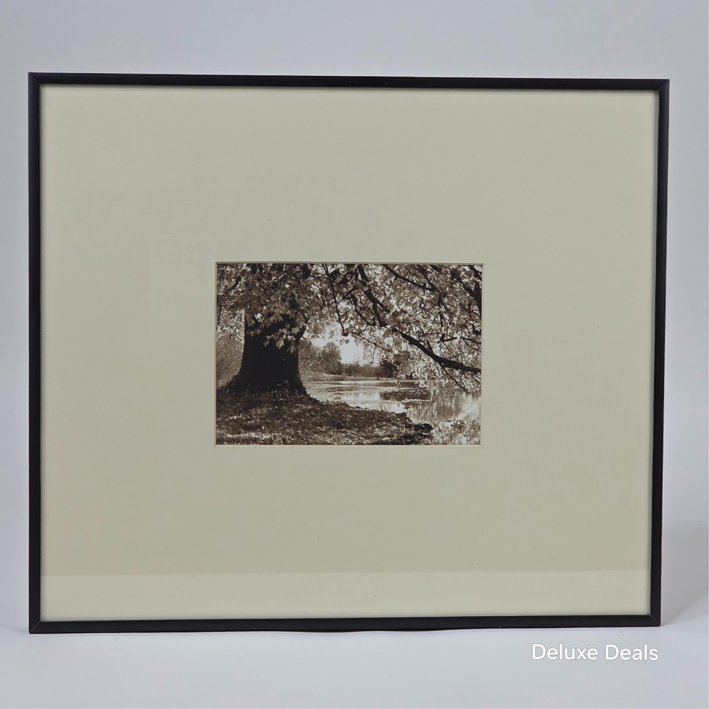 Steven Michael Bogdonas | Autumn Shade, Morton Arboretum, 2001, 1/25
