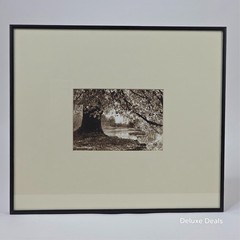 Steven Michael Bogdonas | Autumn Shade, Morton Arboretum, 2001, 1/25