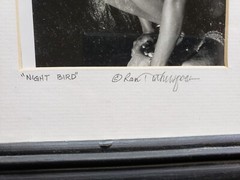 «Night Bird «10x11x1 Photograph Art In Wood Glass Frame.