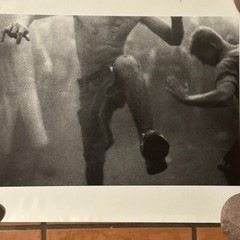 Janine Gordon Photograph Mosh Pit 20″x24″ Print Randalls Island Whitney Museum