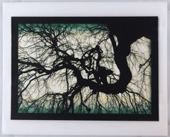 Mike Starn / Structure of Thought 30 8 x 10 LIMITED EDITION ARCHIVAL Signed 1st
