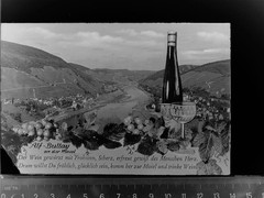 30044572 – 5584 Bullay Wine