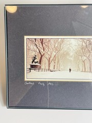 Central Park NYC Printed Photo Art
