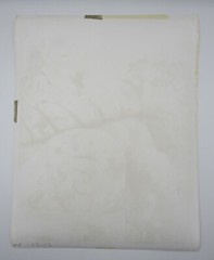 Signed Ildiko Butler photograph lichen covered sculpture/architecture study