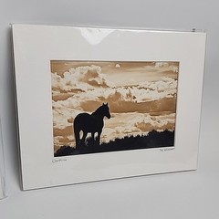 Horse Photograph Lot of 3 Equestrian Caroline Christie Signed Matted