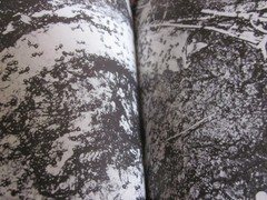 Daido MORIYAMA Photo Book NAKAJI JAPAN 2010 1 st. edition 1 st. print Obi band