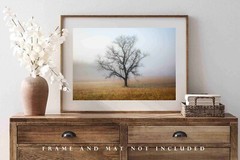 Great Smoky Mountains Photography Print: Tennessee Tree Fog Nature Smokies Photo
