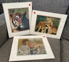 WARREN MAGILL PHOTOGRAPHY «BENGAL TIGER» / «RED FOX» SIGNED & NUMBERED