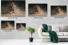 Running Tiger Wall Art, Modern Wildlife Animal Decor, Nature Photography Canvas