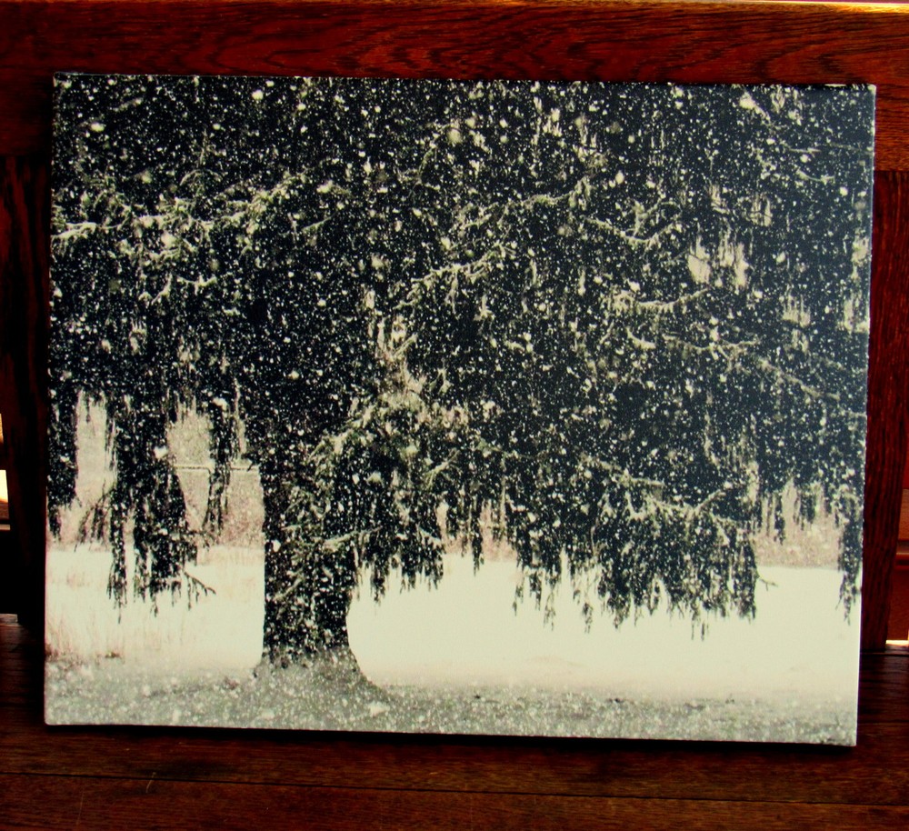 winter tree canvas print of original photo 20 x 16 x 3/4″