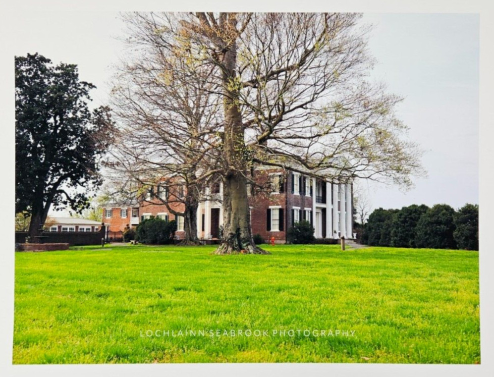 Rippavilla Plantation Spring Hill TN 13 x 17 Photographic Print By L Seabrook