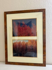 Nicely Framed Set of 2 Photographs of Trees