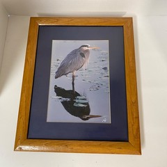 James Stamates 92 • Framed Art Photo • Reflection of Nature • Great Blue Heron