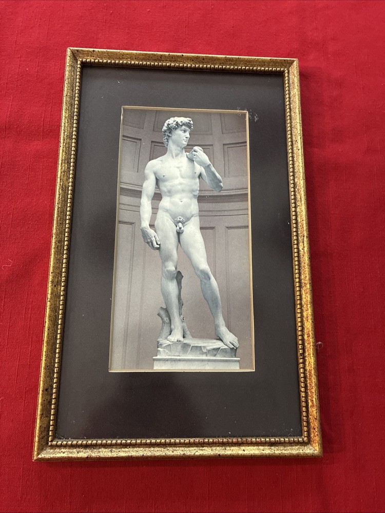 Photo Of David Sculpture: Michelangelo/ Matted And Framed