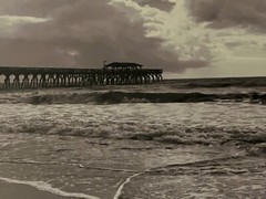 beach photo black and white 12in x 18in south caroline pier