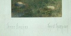 ANTIQUE Vintage FRED THOMPSON Signed HAND TINTED Colored Photograph / Nutting