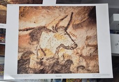 Set of 12 Lascaux Cave Art Photo Prints 1996 Crystal Productions France