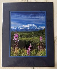 SIGNED DENALI FIREWEED PHOTO BY TODD SALAT-8 X10 Matted 11X14