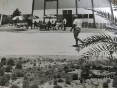 TOTAL Oil Exploration 1950 Photo 24 X 19 Hassi Messaoud /Alain Pol No16