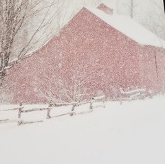 Snowy Red Barn Wall Art, Jonathan Hart Laminated Photo Reproduction by ArtiPL