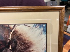 Breakfast in the Willows Porcupine Thomas Mangelsen Original Photo Grand Teton