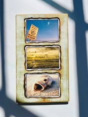 Custom wood Piranha beach photography art home deco by Steve Harris