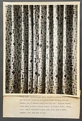 Rare SCHIFFER PRINTS Stimulus SALVADOR DALI & GEORGE NELSON Fabric Press PHOTOS