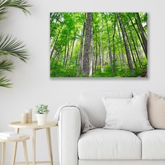 Smokey Mountain, Forest Tree Nature Art – Fine Art Photo on Metal, Canvas, Paper