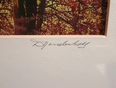 «Indian Red Lake» Signed Photography 15.5 X 19.5″ Framed & Matted 8 x 10