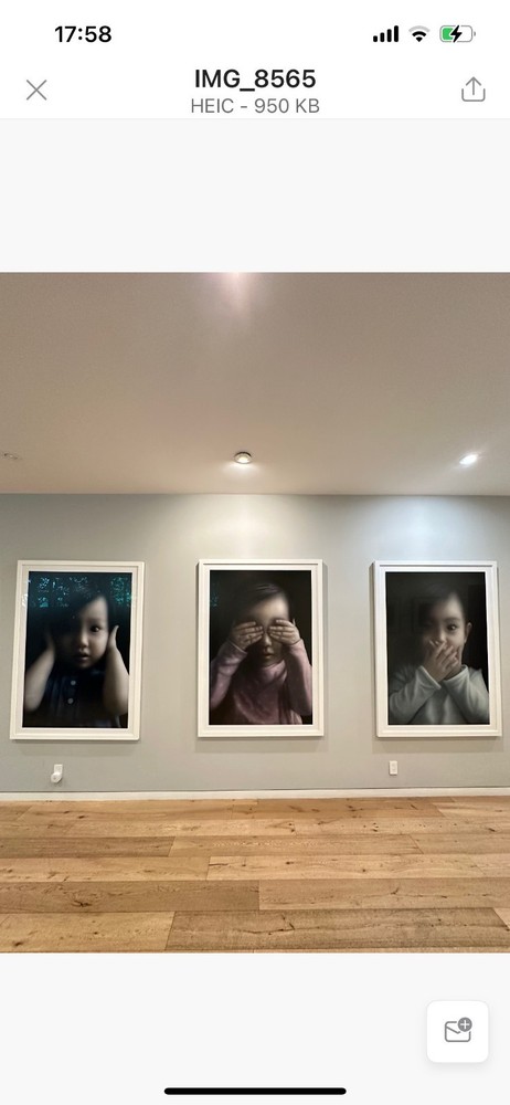 Fabulous, rare and huge Masahuru Sato Triptych (Japan)