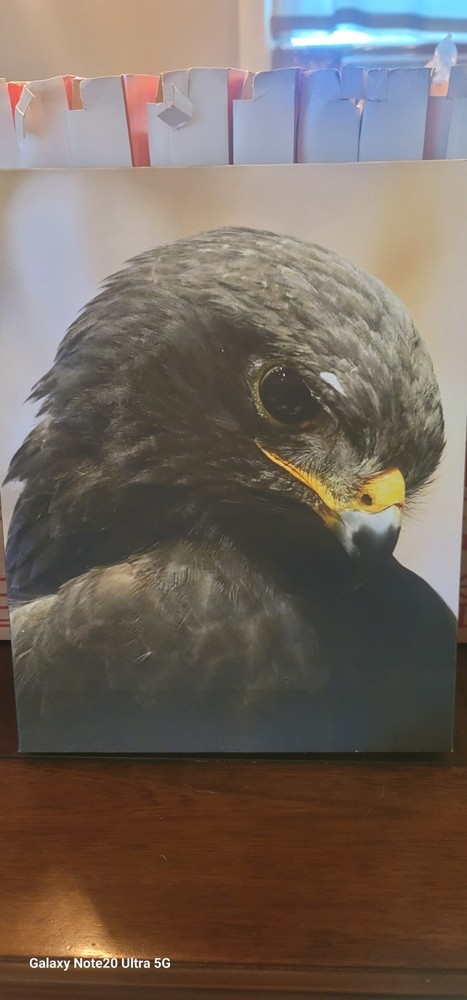 11x14in Canvas Print For Sale