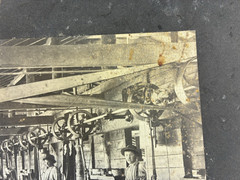 ANTIQUE AGRICULTURAL SHEARING SHEEP.SOUTH WALES, AUSTRALIA. TONED SILVER PRINT.