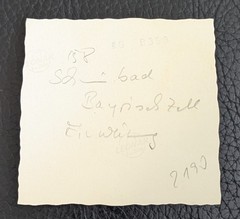 Genuine Photo 1958 Swimming Pool Bavarian Cell Inauguration