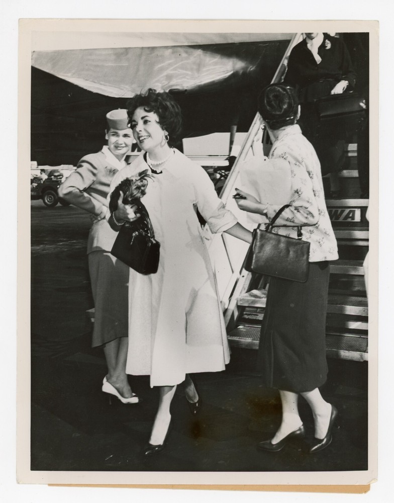 Elizabeth Taylor Arriving in NY with Dog 1958 Glamorous Hollywood Star Legend