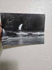 5 by 7 Black and White 35mm Film Photography Hand Made Darkroom Print Bandon OR